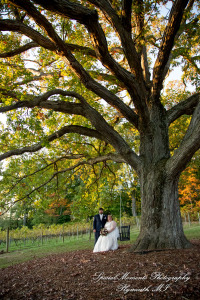 Mike & Jess at Westers Family Vineyard & Winery Rives Junction MI wedding photograph