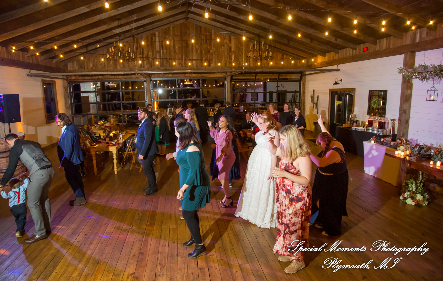 Mike & Jess at Westers Family Vineyard & Winery Rives Junction MI wedding photograph