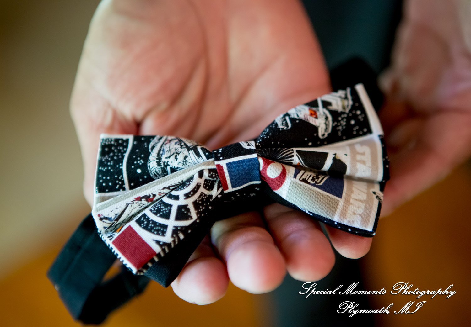 Amber & Tim at Canada Creek Ranch Atlanta MI wedding photography