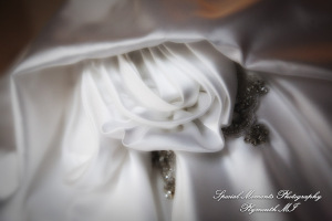 Dave & Angie at Ss. Peter & Paul Jesuit Detroit MI wedding photography