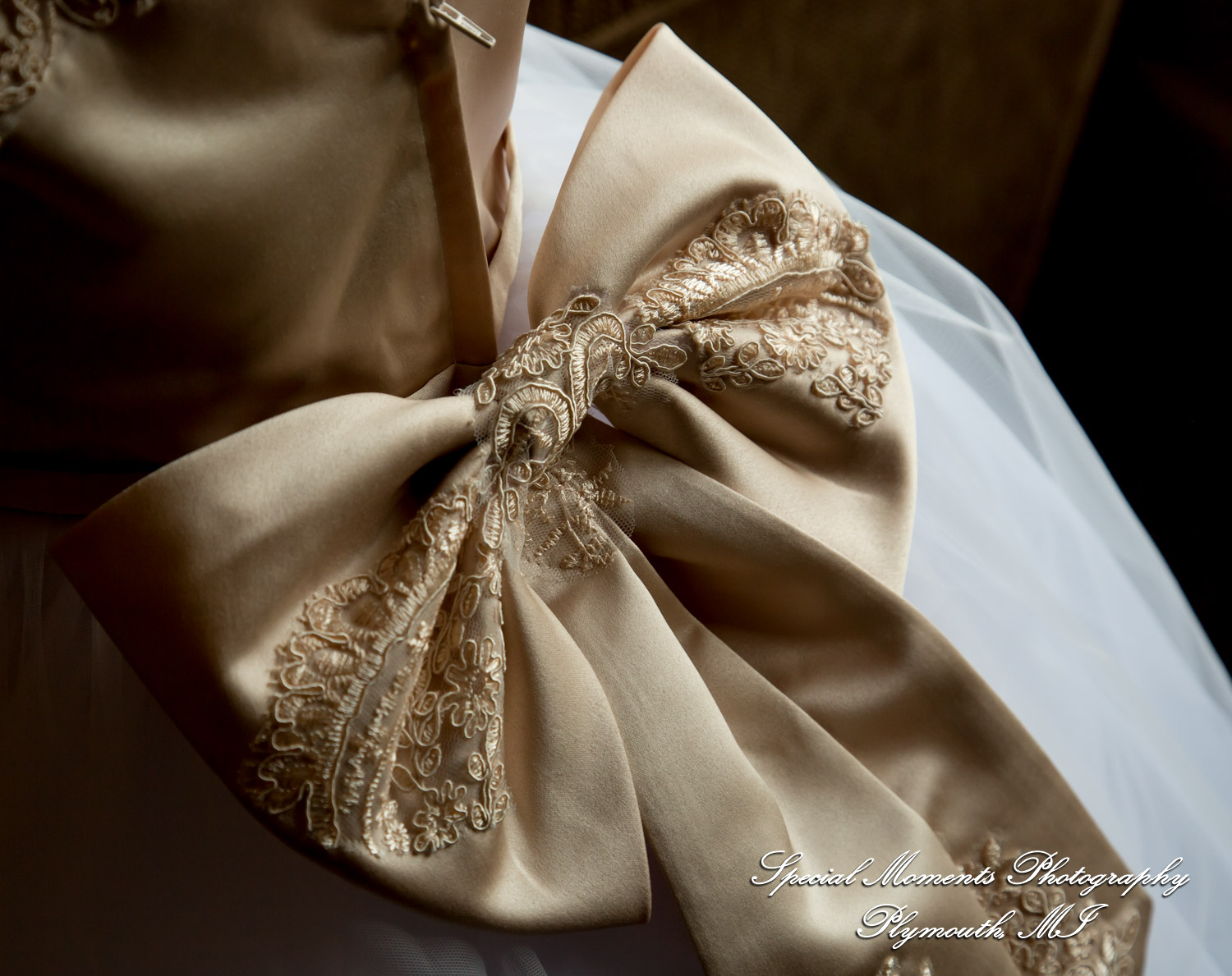 Amber & Tim at Canada Creek Ranch Atlanta MI wedding photography