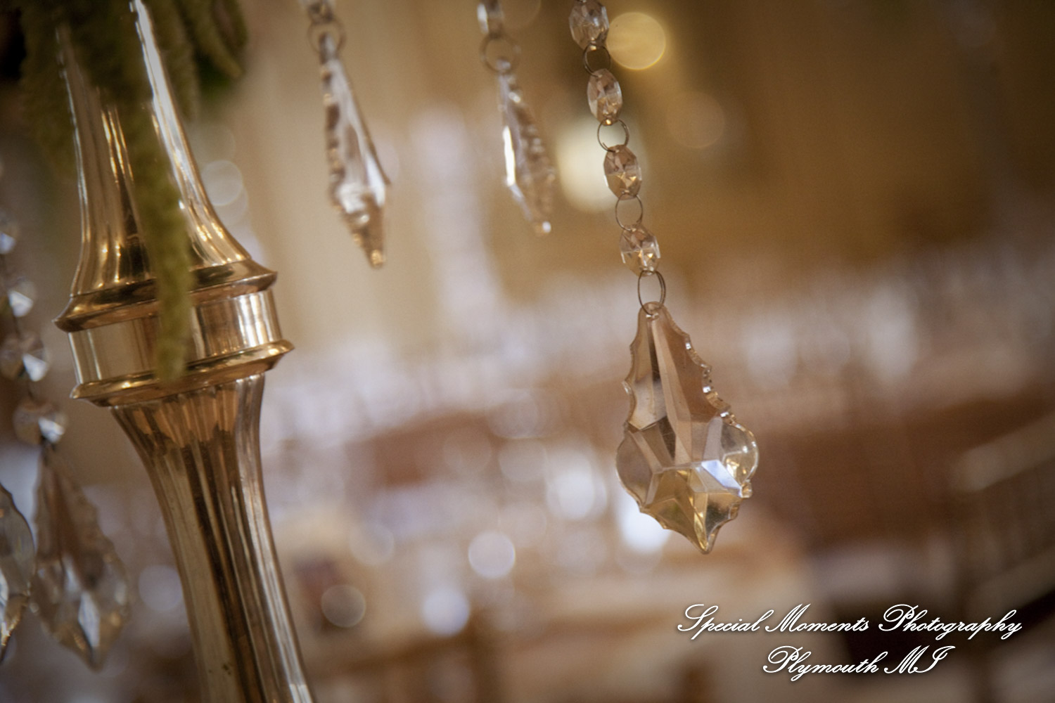 Dave & Angie at Colony Club Detroit MI wedding photography