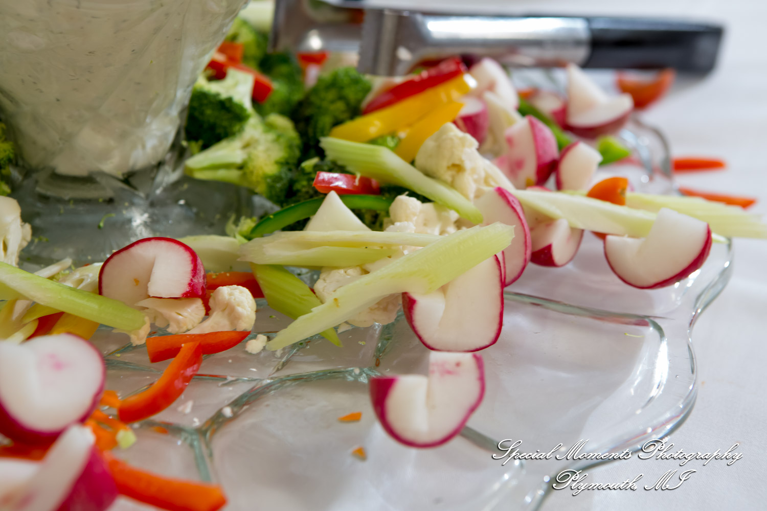 Amber & Tim at Canada Creek Ranch Atlanta MI wedding photography