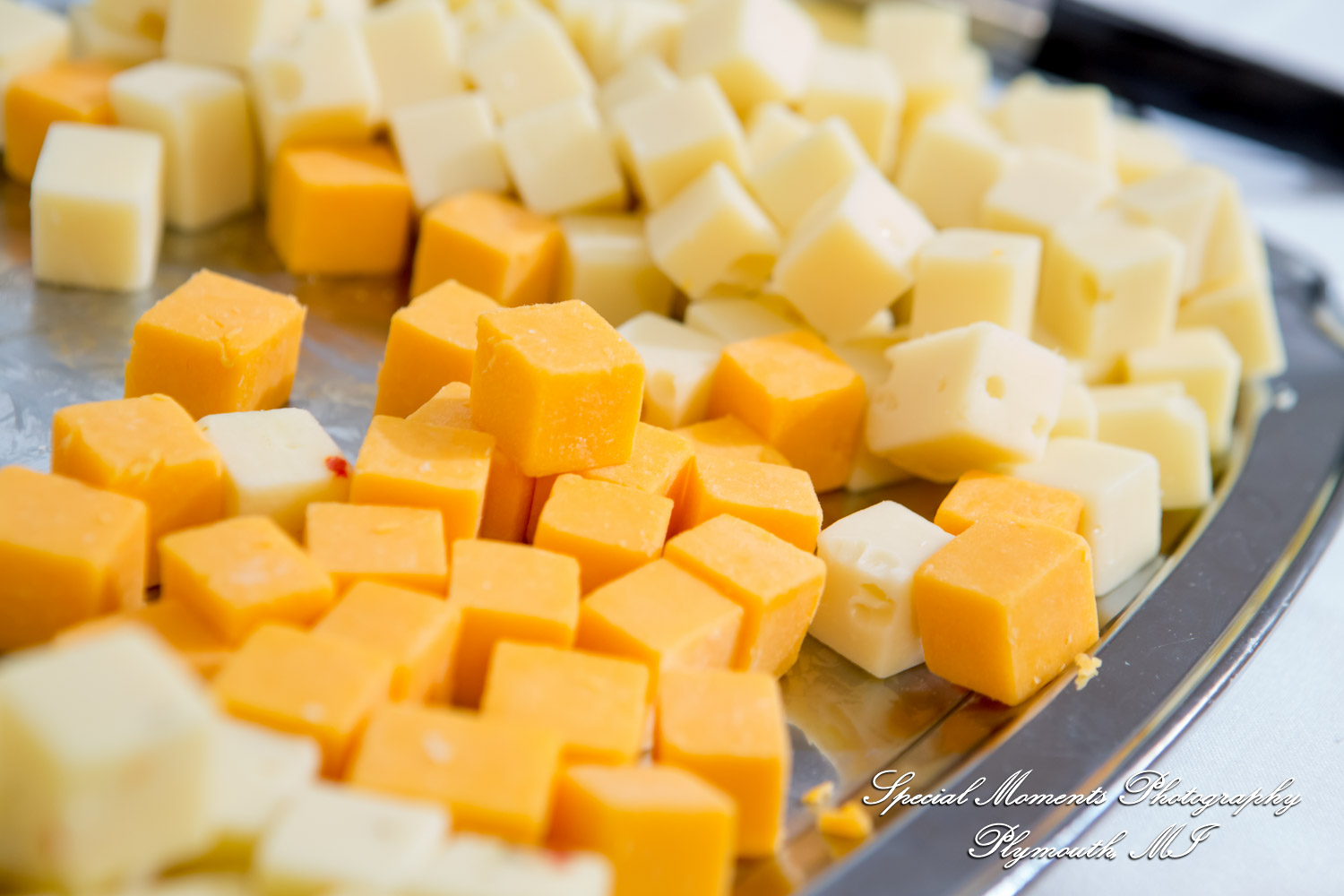 Amber & Tim at Canada Creek Ranch Atlanta MI wedding photography