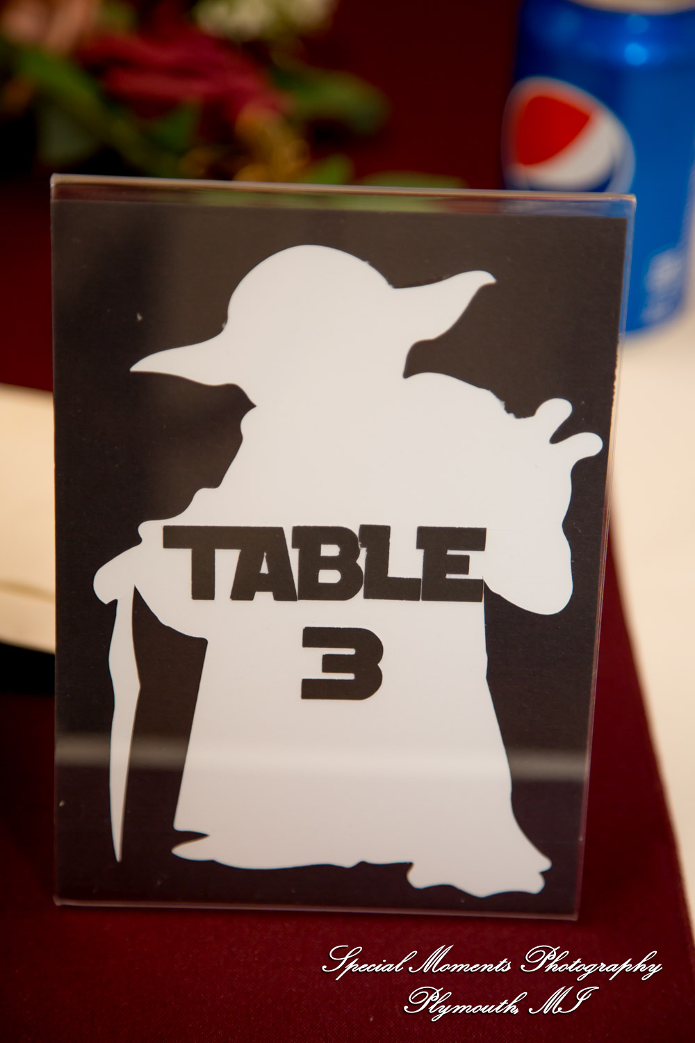 Amber & Tim at Canada Creek Ranch Atlanta MI wedding photography