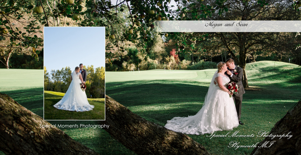 Fine Art Classic Design - Sean & Megan at Stonebridge Golf Club Ann Arbor MI wedding album photography