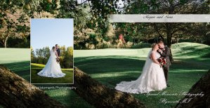 Fine Art Classic Design - Sean & Megan at Stonebridge Golf Club Ann Arbor MI wedding album photography