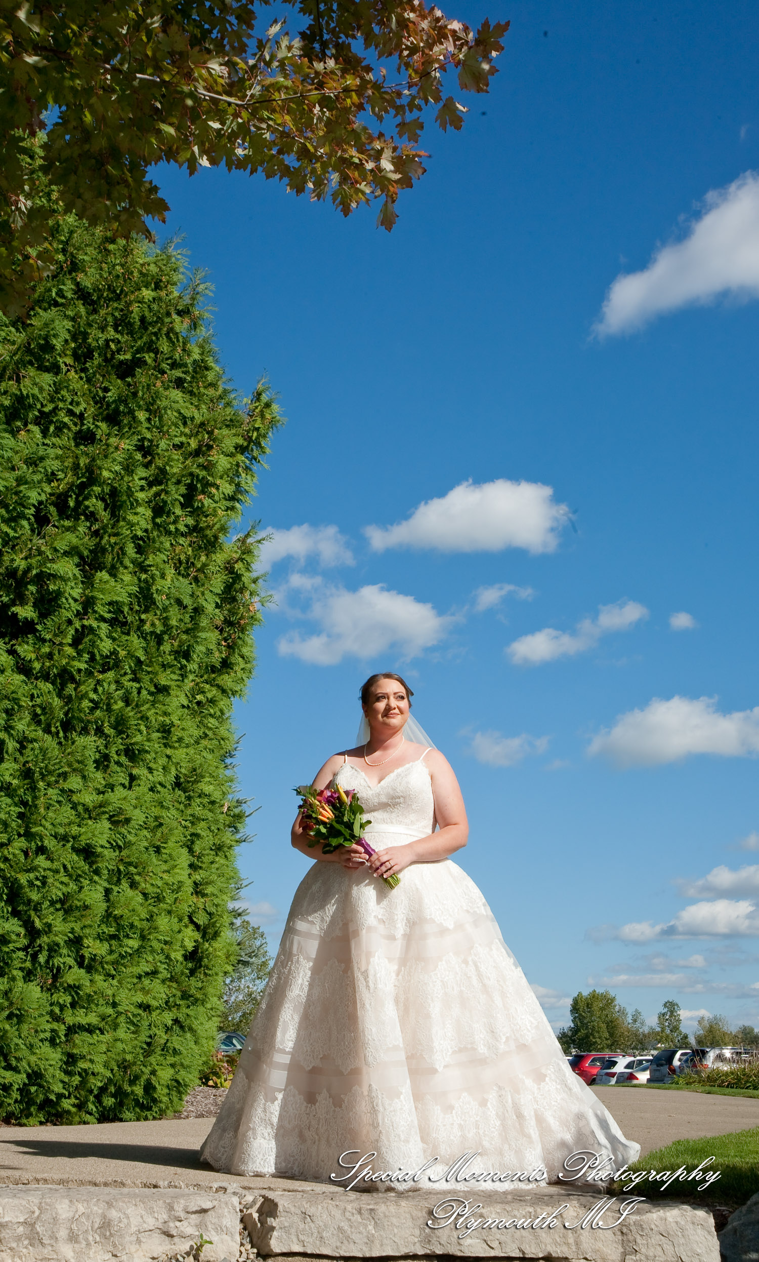 Sarah & Ron at Boulder Pointe Golf Club & Banquet Center Oxford MI wedding photograph