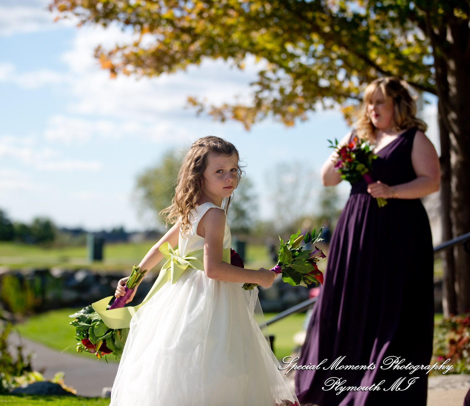 Sarah & Ron at Boulder Pointe Golf Club & Banquet Center Oxford MI wedding photograph