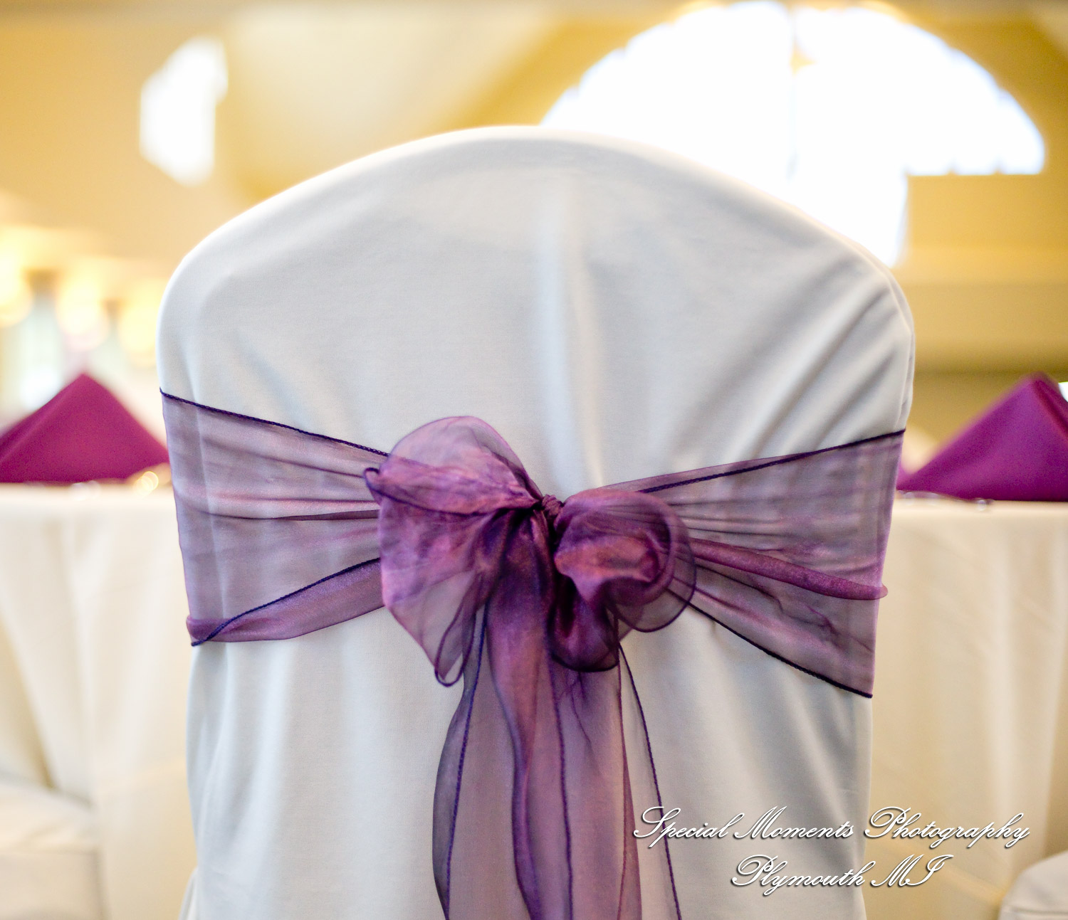 Sarah & Ron at Boulder Pointe Golf Club & Banquet Center Oxford MI wedding photograph
