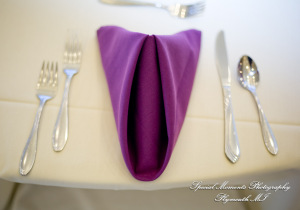 Sarah & Ron at Boulder Pointe Golf Club & Banquet Center Oxford MI wedding photograph