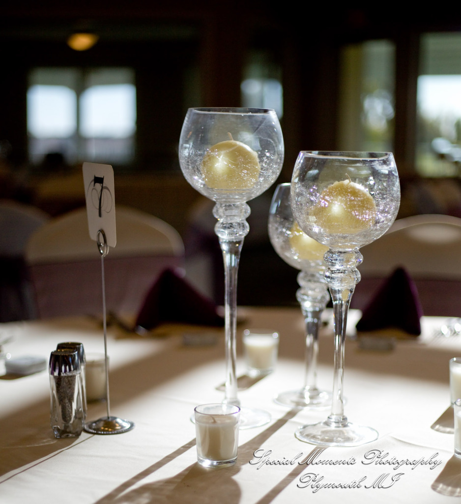 Sarah & Ron at Boulder Pointe Golf Club & Banquet Center Oxford MI wedding photograph