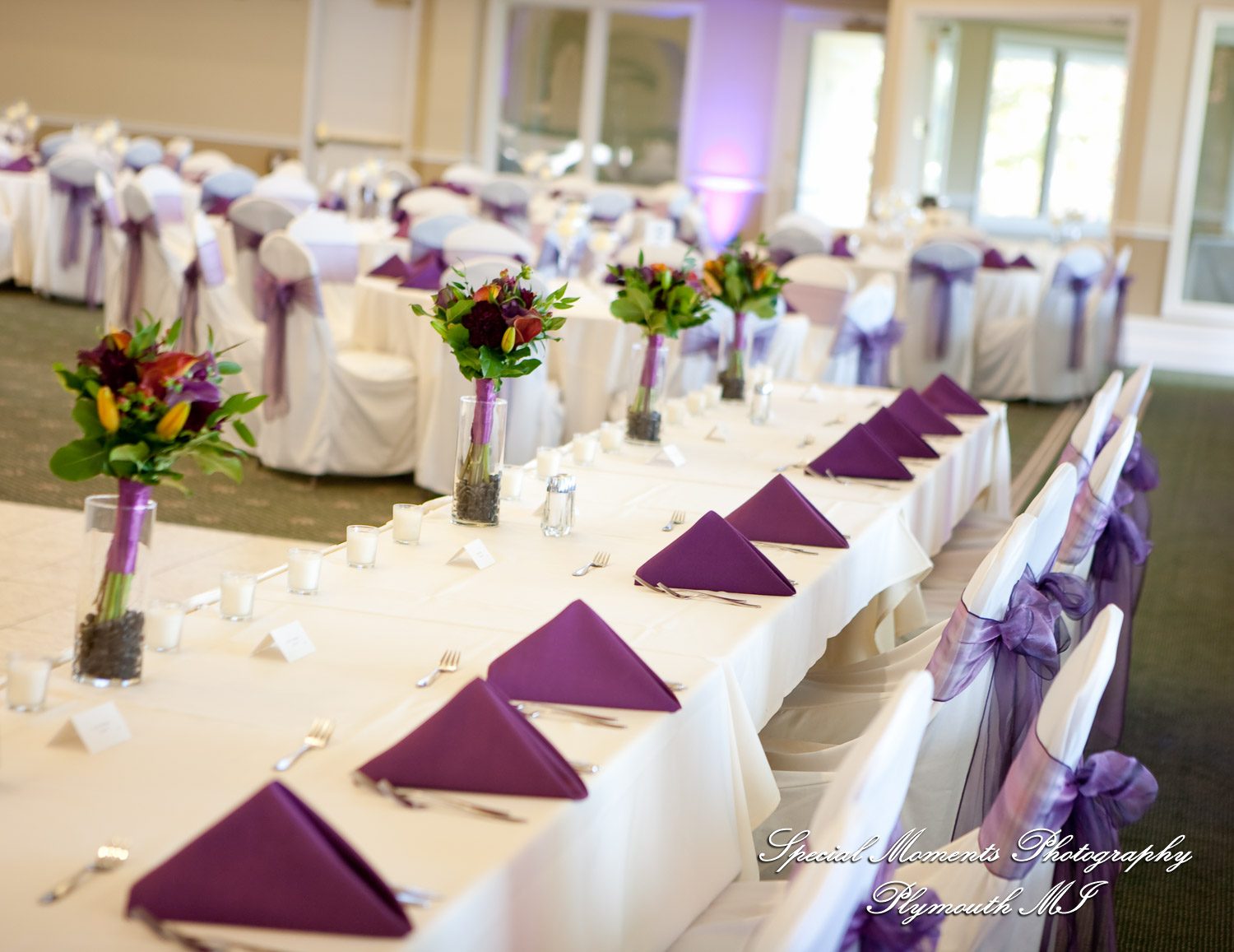 Sarah & Ron at Boulder Pointe Golf Club & Banquet Center Oxford MI wedding photograph