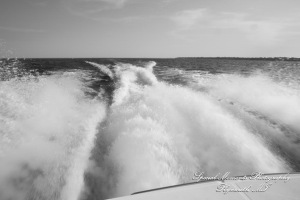 Kam & Jim at St. John Episcopal Church Detroit MI wedding photography