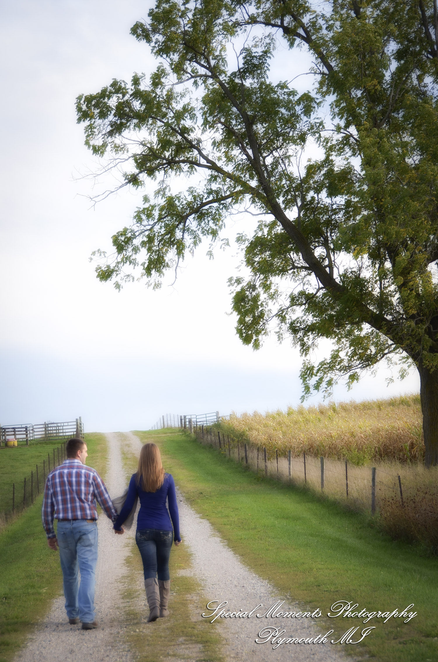 Andy & Jamie at MSU Campus East Lansing MI engagement photograph