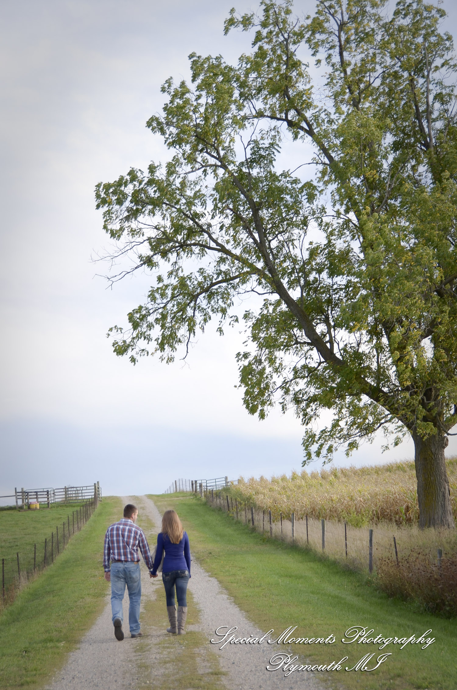 Andy & Jamie at MSU Campus East Lansing MI engagement photograph