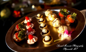 Kam & Jim at Infinity Yacht Jefferson Beach Marina St Clair Shore MI wedding photography