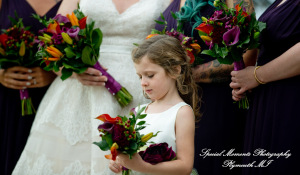 Sarah & Ron at Boulder Pointe Golf Club & Banquet Center Oxford MI wedding photograph