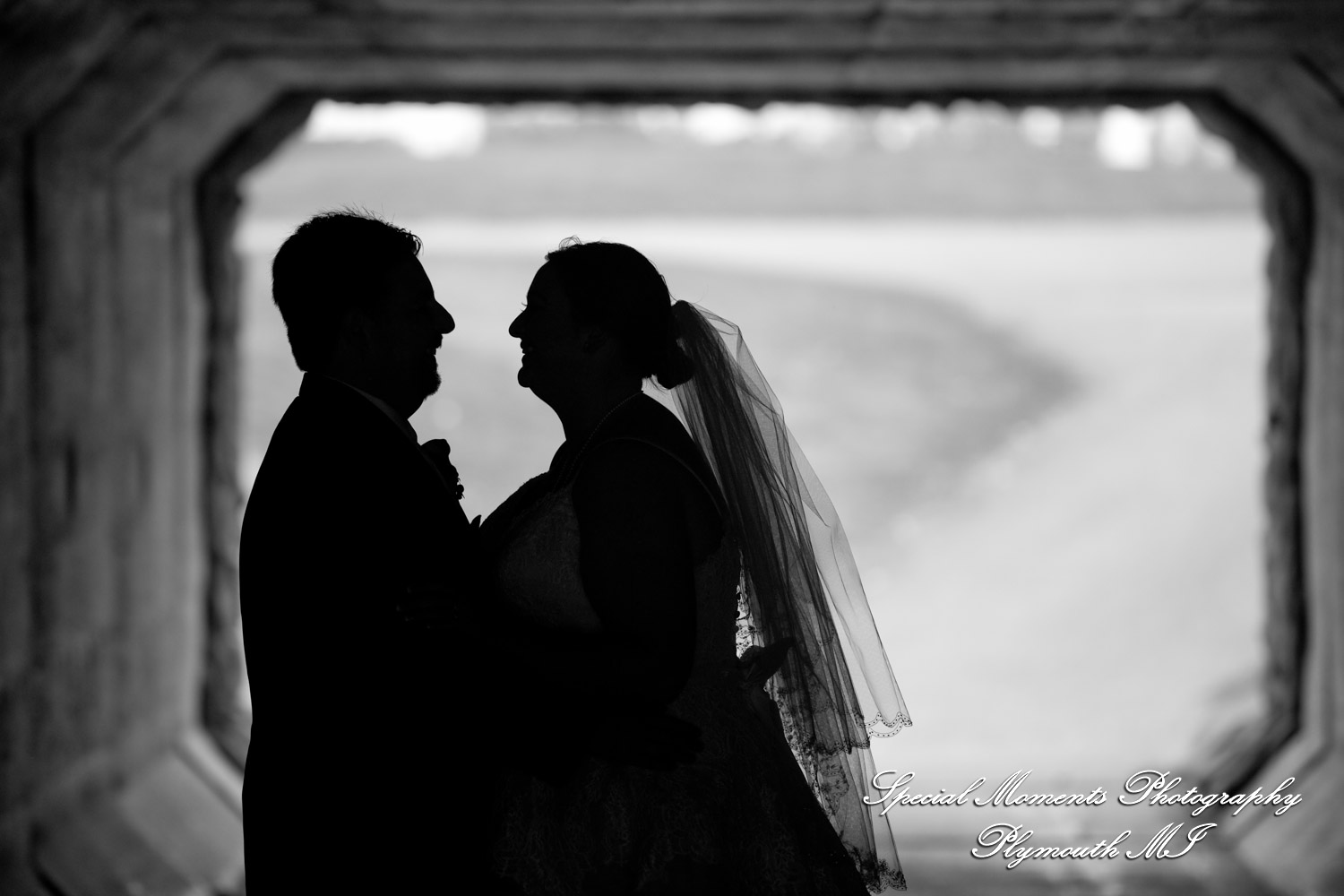 Sarah & Ron at Boulder Pointe Golf Club & Banquet Center Oxford MI wedding photograph