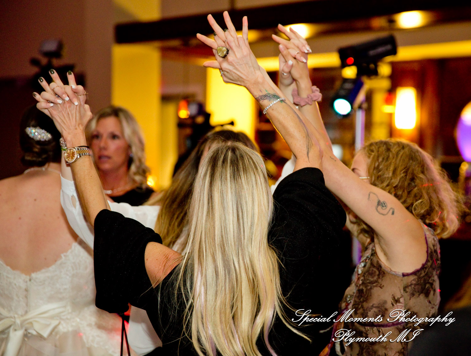 Sarah & Ron at Boulder Pointe Golf Club & Banquet Center Oxford MI wedding photograph