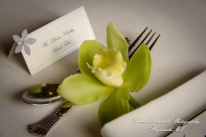 Rory & Ally at St. John's Resort Provincial Ballroom Plymouth MI wedding photograph