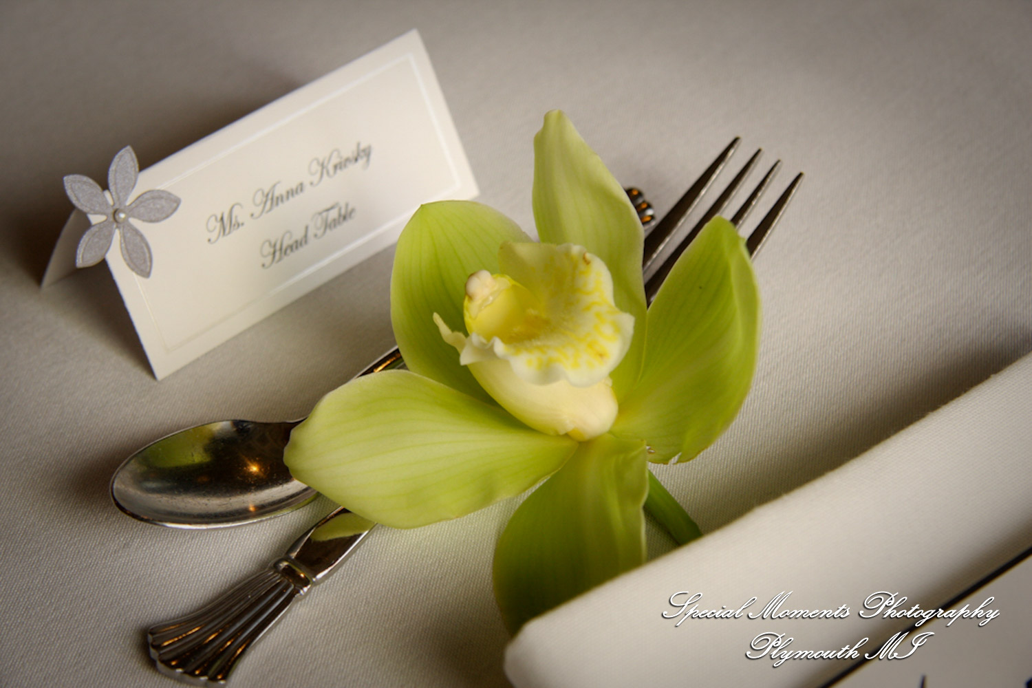 Rory & Ally at St. John's Resort Provincial Ballroom Plymouth MI wedding photograph