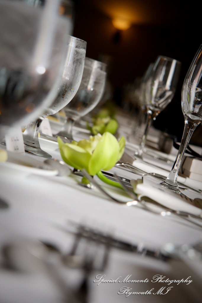 Rory & Ally at St. John's Resort Provincial Ballroom Plymouth MI wedding photograph