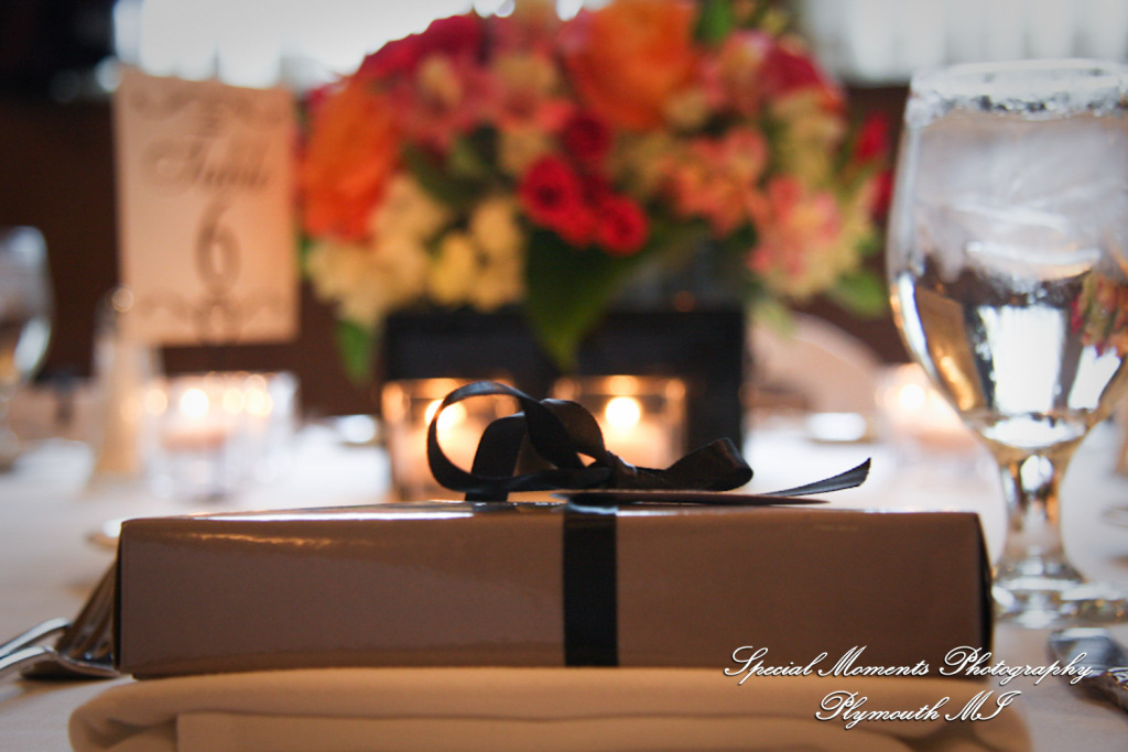 Rory & Ally at St. John's Resort Provincial Ballroom Plymouth MI wedding photograph