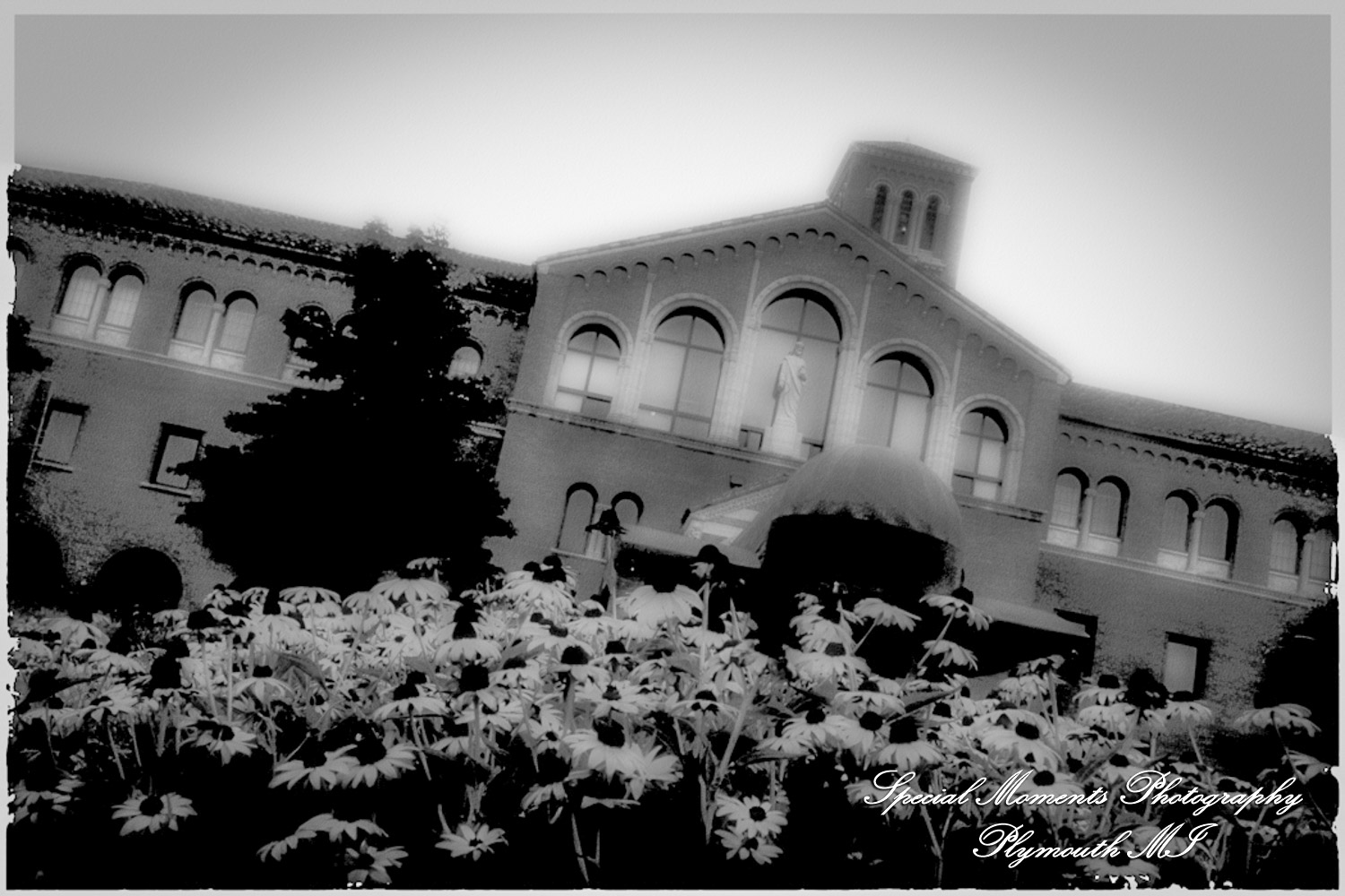 Rory & Ally at St. John's Resort Provincial Ballroom Plymouth MI wedding photograph