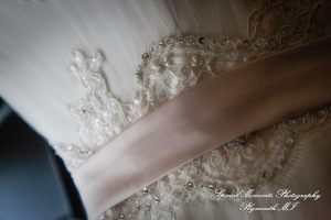 Rory & Ally at St. John's Resort Provincial Ballroom Plymouth MI wedding photograph