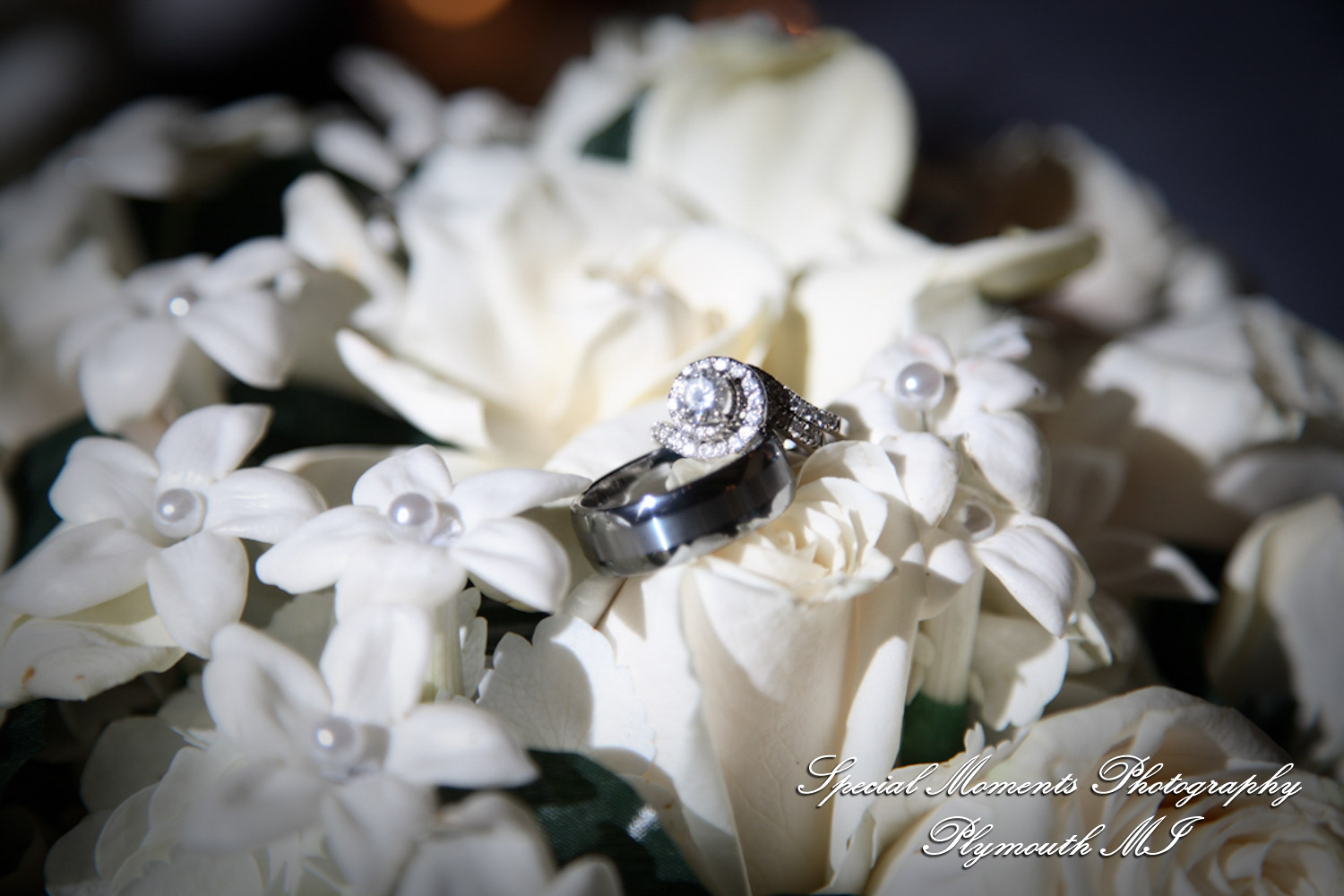 Jim & Mary at Community House of Birmingham MI wedding photograph