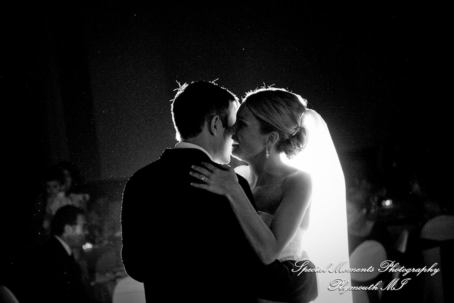Rory & Ally at St. John's Resort Provincial Ballroom Plymouth MI wedding photograph