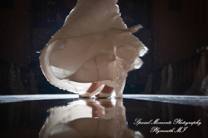 Rory & Ally at St. John's Resort Provincial Ballroom Plymouth MI wedding photograph