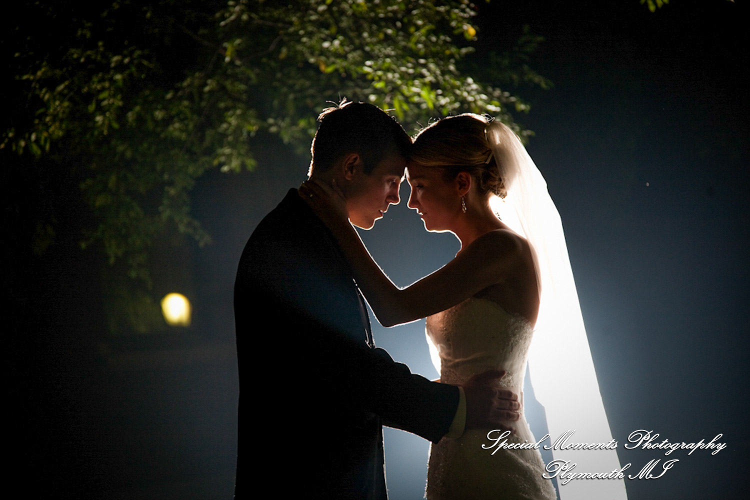 Rory & Ally at St. John's Resort Provincial Ballroom Plymouth MI wedding photograph