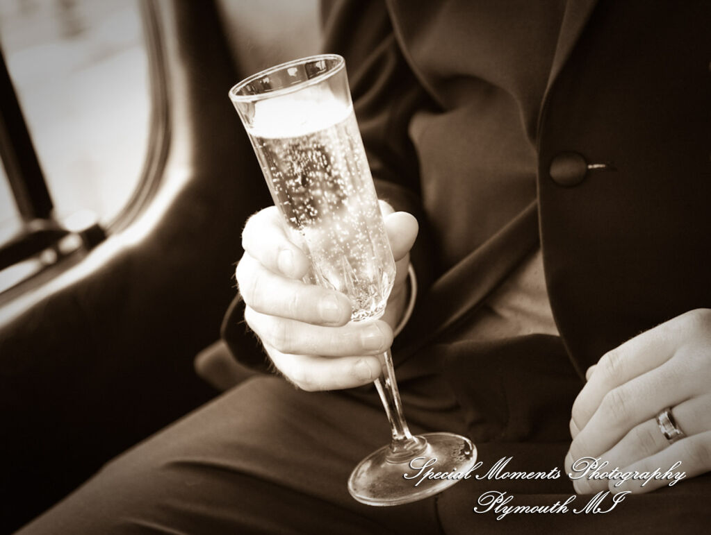 Erika & Josh at Lovett Hall Greenfield Village Dearborn MI wedding photography