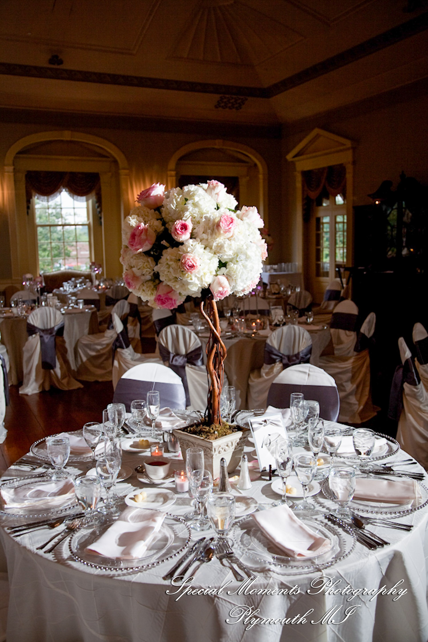 Erika & Josh at Lovett Hall Greenfield Village Dearborn MI wedding photography
