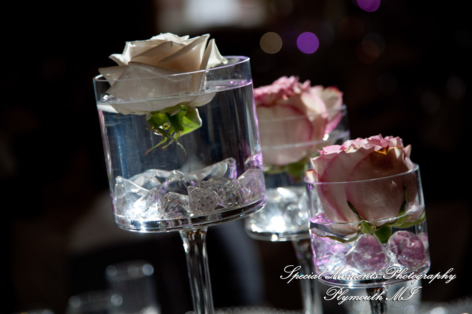 Erika & Josh at Lovett Hall Greenfield Village Dearborn MI wedding photography