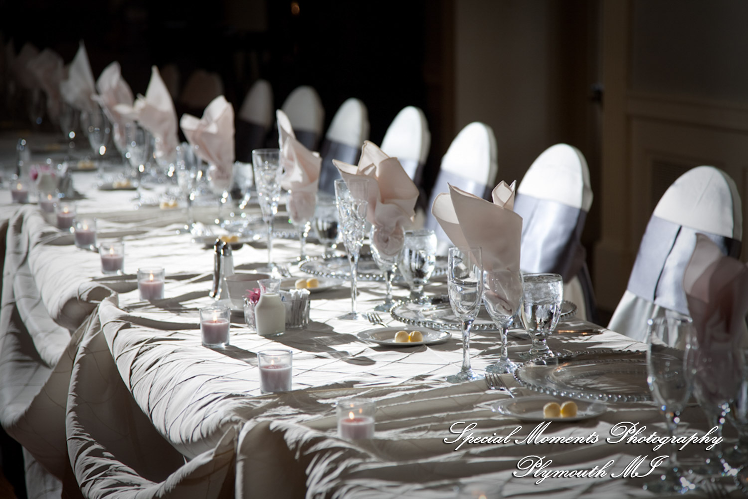 Erika & Josh at Lovett Hall Greenfield Village Dearborn MI wedding photography