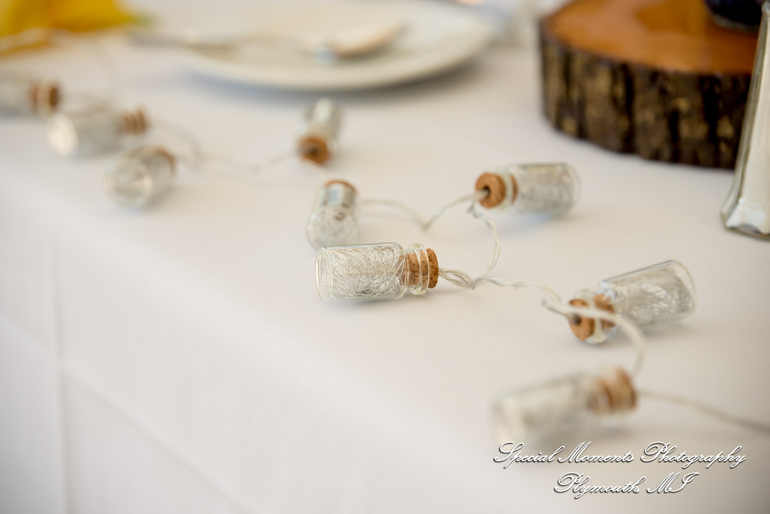 Lenore & Michael at Stonebridge Golf Club - Ann Arbor MI wedding photograph