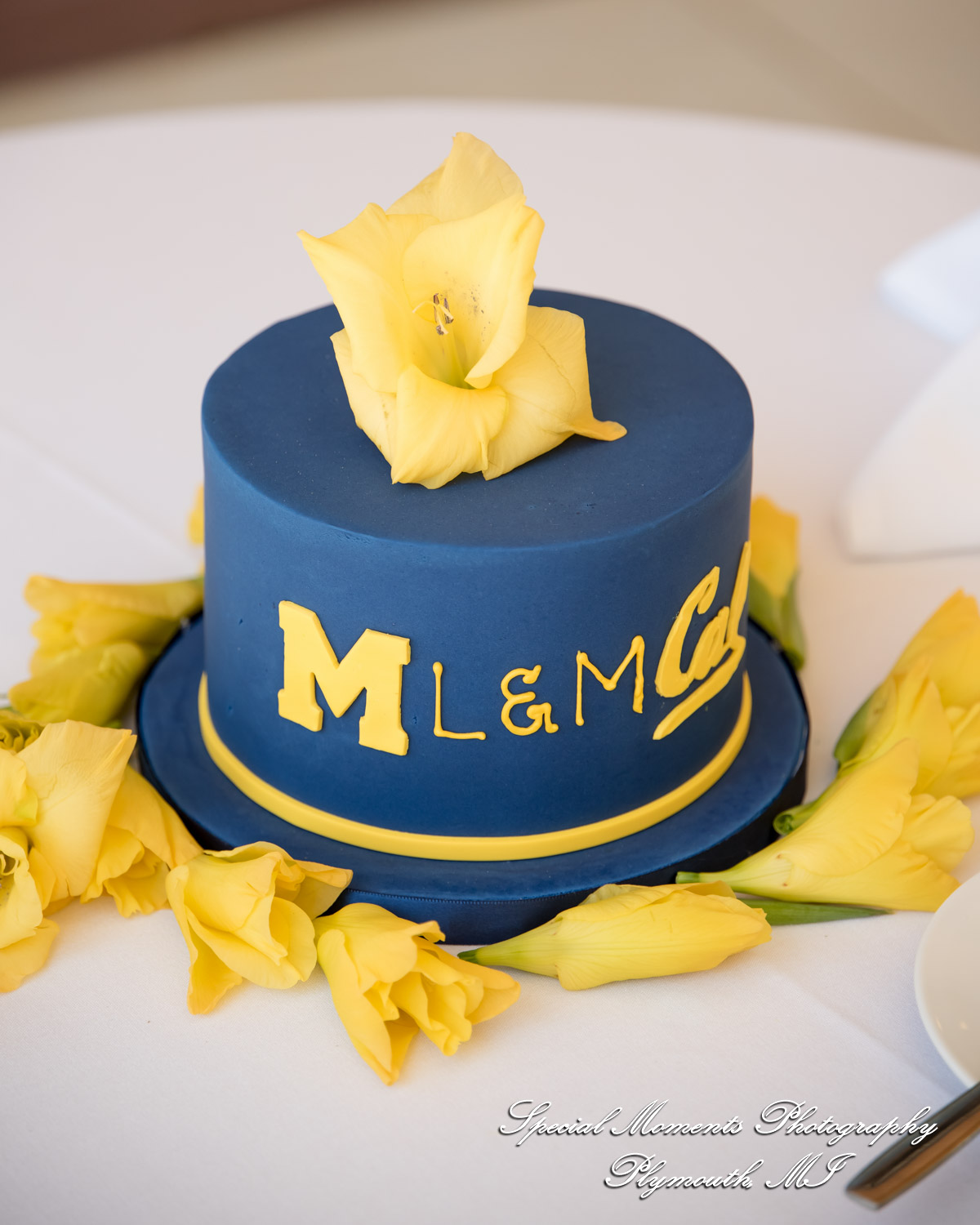 Lenore & Michael at Stonebridge Golf Club - Ann Arbor MI wedding photograph