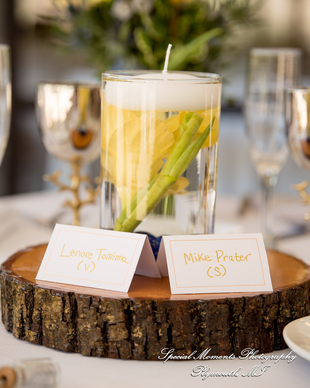 Lenore & Michael at Stonebridge Golf Club - Ann Arbor MI wedding photograph