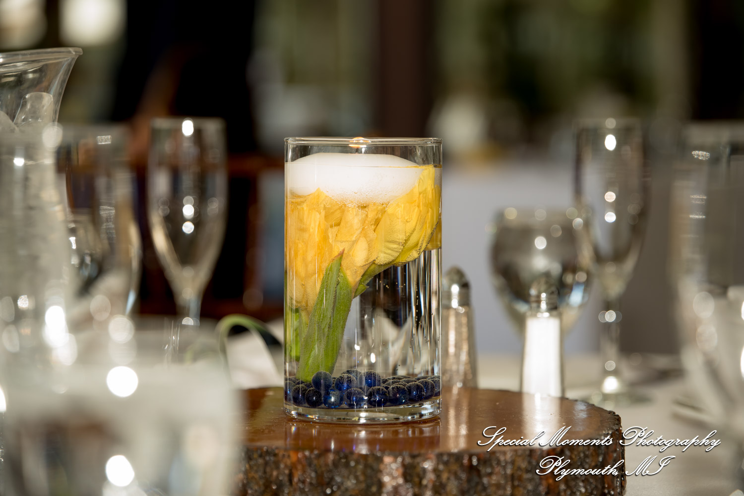 Lenore & Michael at Stonebridge Golf Club Ann Arbor MI wedding photograph