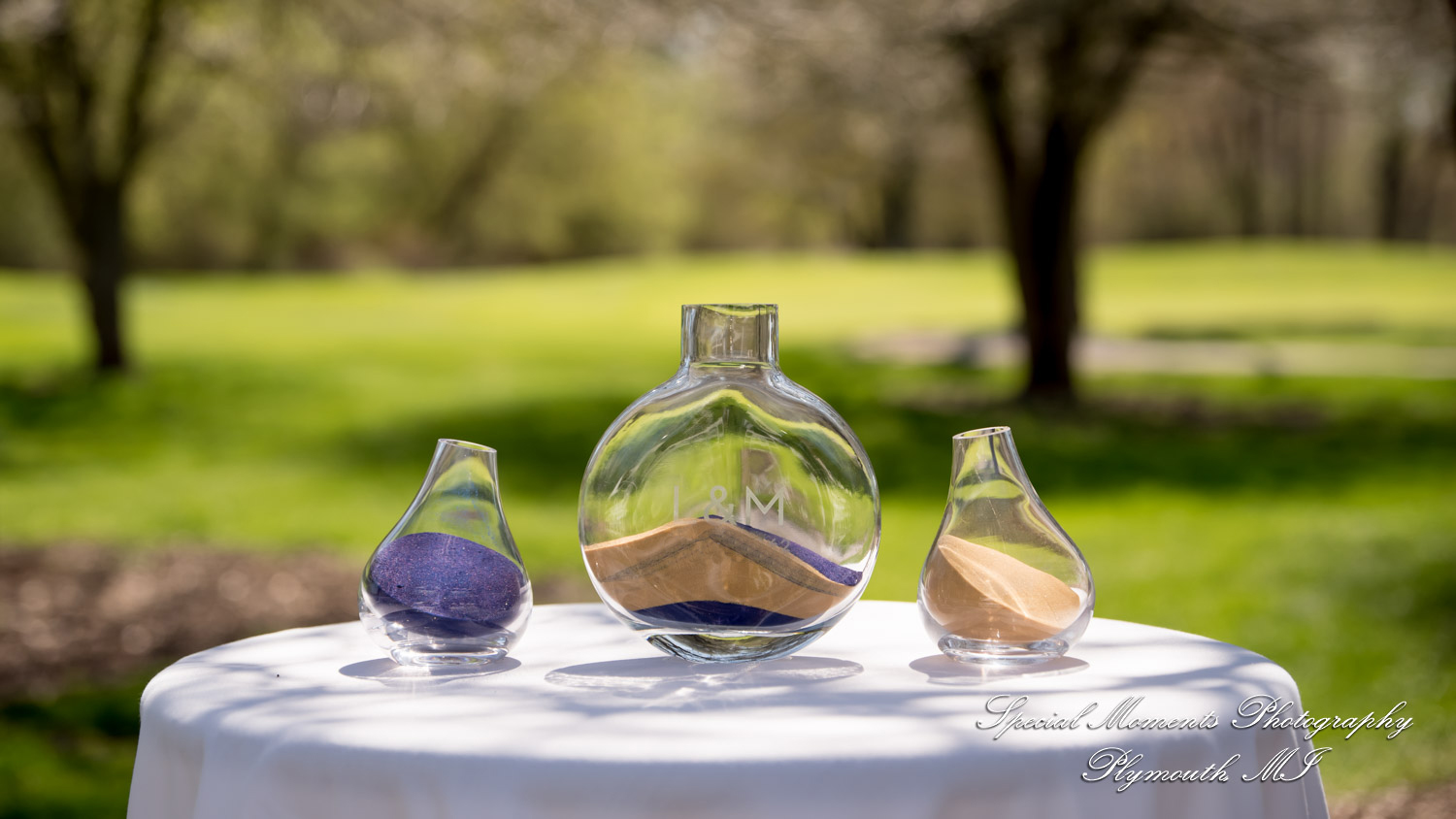 Lenore & Michael at Stonebridge Golf Club Ann Arbor MI wedding photograph