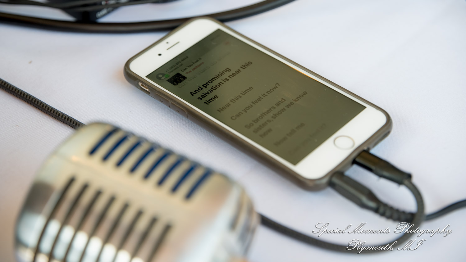 Lenore & Michael at Stonebridge Golf Club Ann Arbor MI wedding photograph