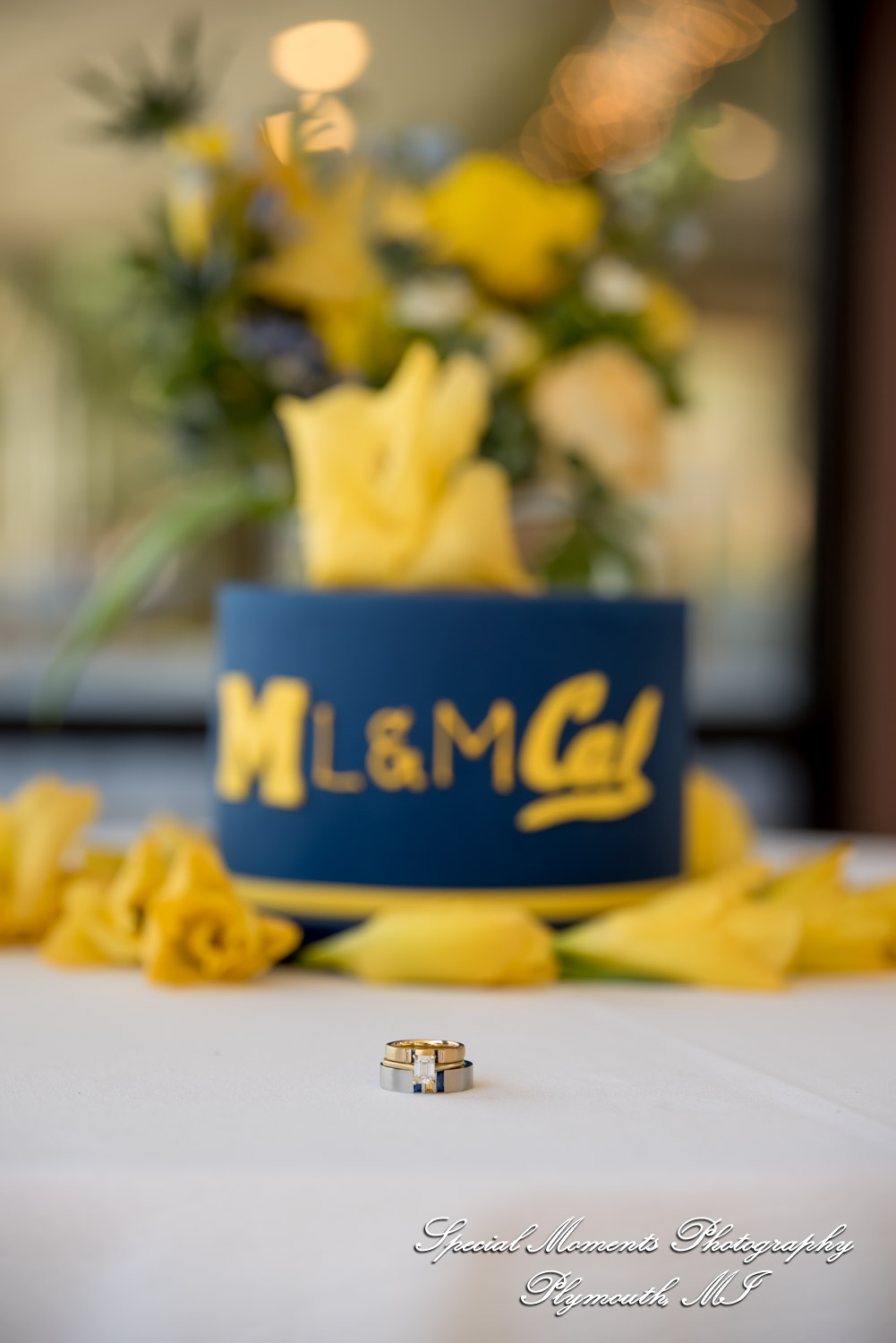 Lenore & Michael at Stonebridge Golf Club Ann Arbor MI wedding photograph