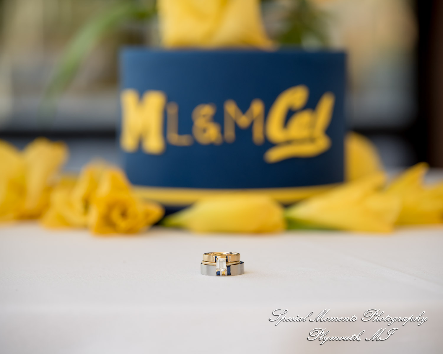 Lenore & Michael at Stonebridge Golf Club Ann Arbor MI wedding photograph