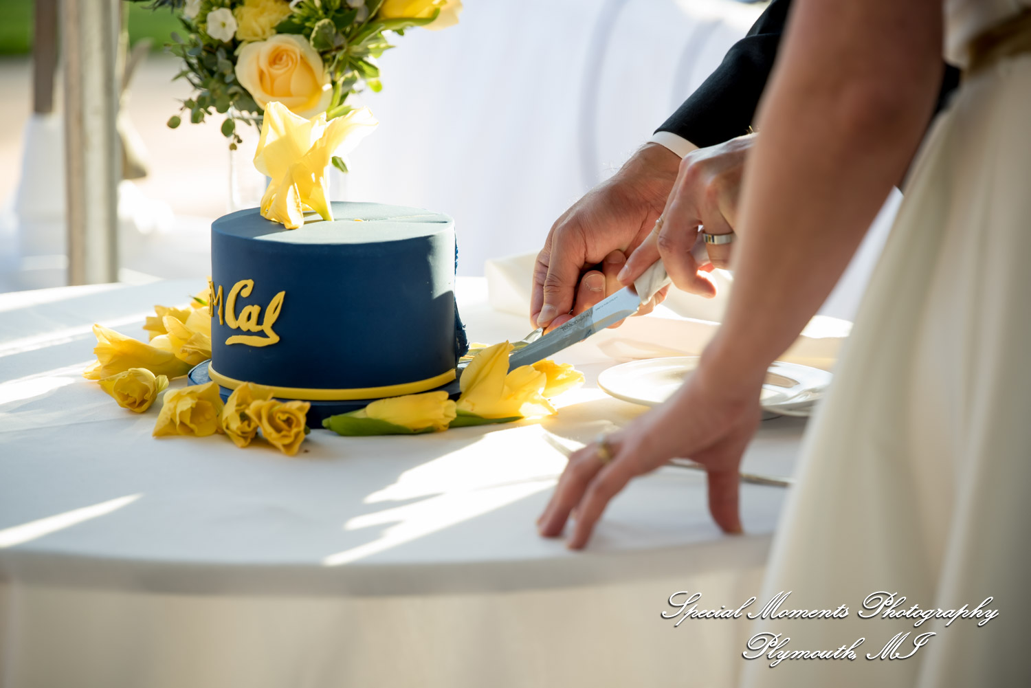 Lenore & Michael at Stonebridge Golf Club Ann Arbor MI wedding photograph