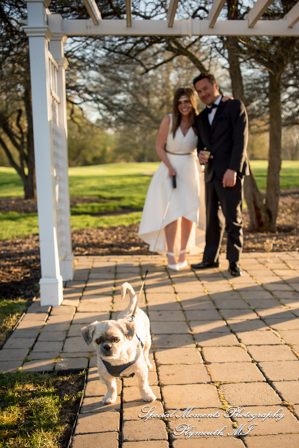 Lenore & Michael at Stonebridge Golf Club Ann Arbor MI wedding photograph