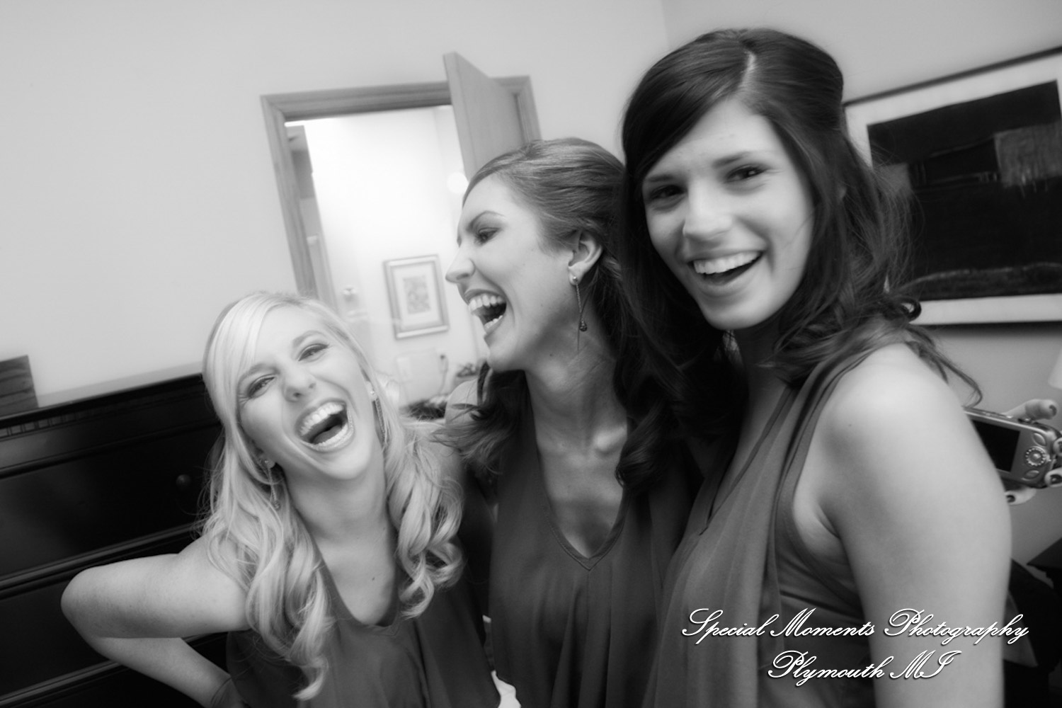 Theodore & Jamie at Wellers Carriage House Saline MI wedding photograph