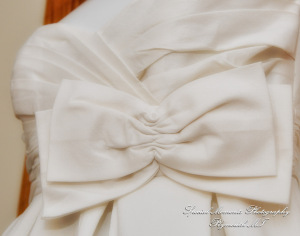 Theodore & Jamie at Wellers Carriage House Saline MI wedding photograph